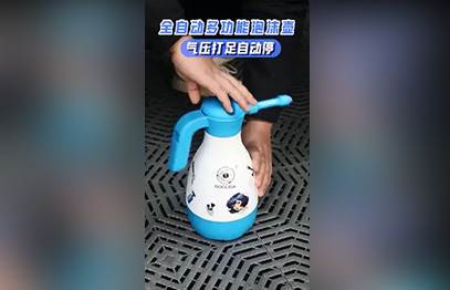 2 IN 1 WATER & FOAM BATTERY SPRAYER